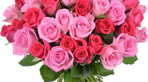 Buchet 35 trandafiri roz bicolor