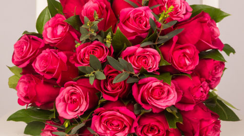 Buchet 25 trandafiri ciclam