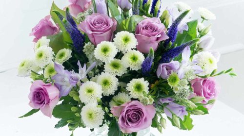Buchet Zmeul Plajei