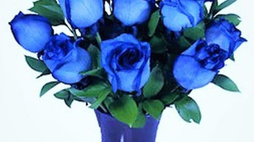 Buchet 25 Trandafiri Albastrii